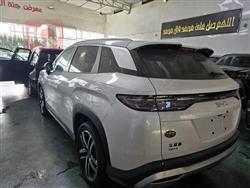 بي واي دي كوين L DM-i